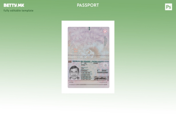 Модерен стил Парагвајски пасош сегашен шаблон